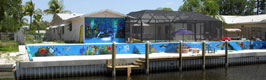 Seascape Murals