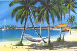 Beach Hammock