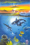 dolfins_sunset_t.jpg (5299 bytes)