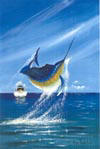 sailfish_t.jpg (4541 bytes)